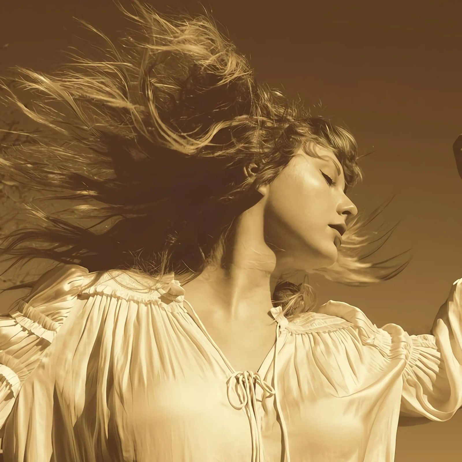 Fearless Swift canvas by AARON