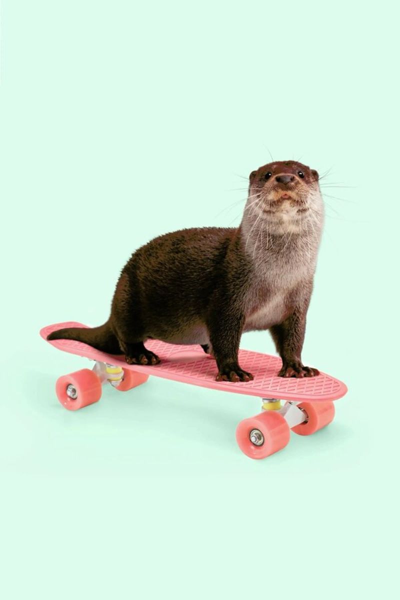Skate Otter poster da Paul Fuentes Design