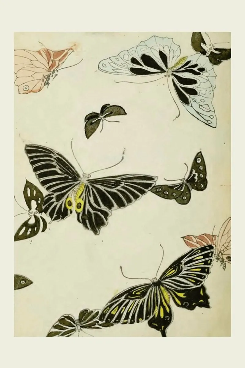 Shin-Bijutsukai - Butterflies pellicola backlit da Vintage by JUNIQE