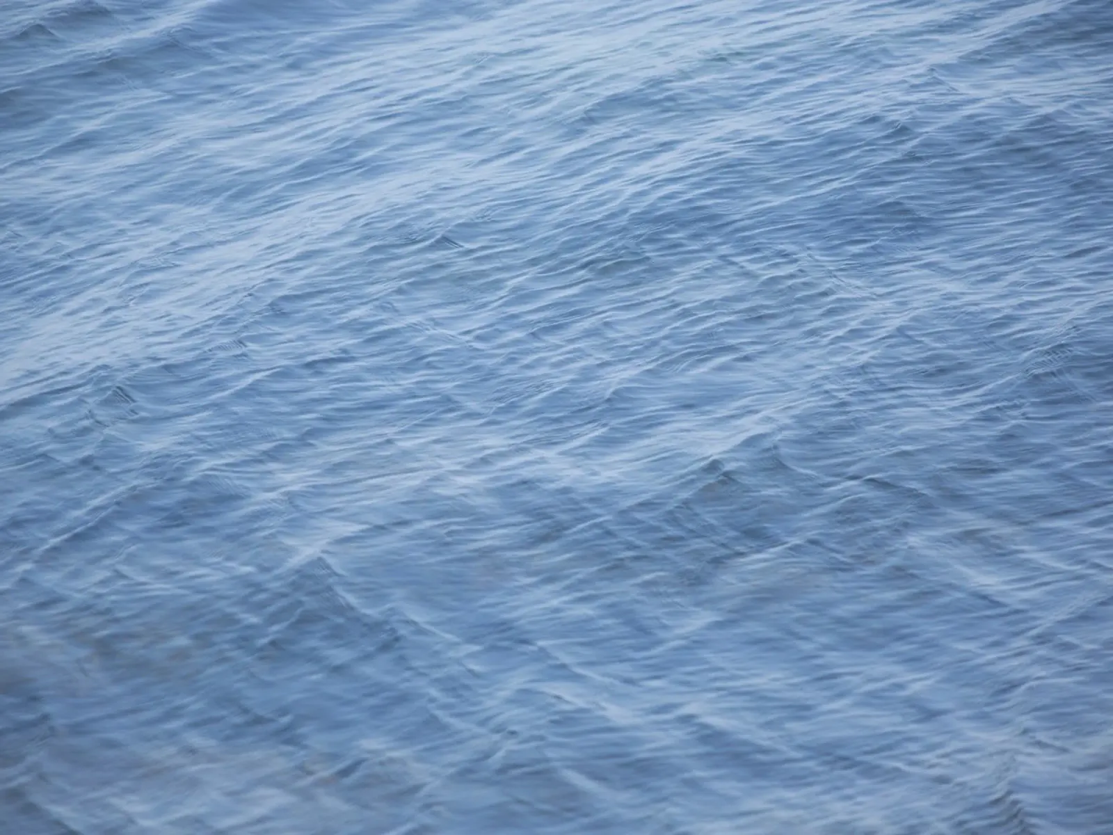 acqua in movimento carta hahnemühle da the view