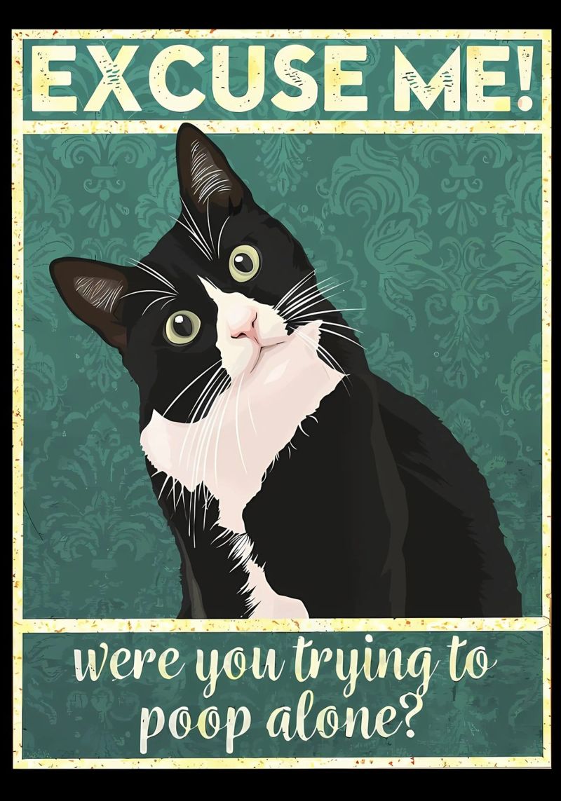 cat humor quote text eyes black and white cat whiskers canvas by Daniel Medina