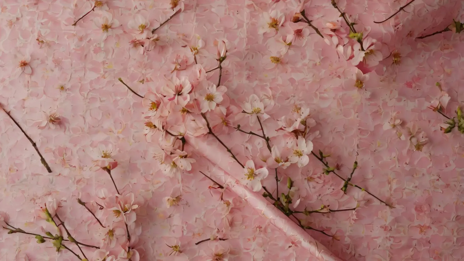 Delicati fiori di ciliegio rosa disposti su un tappeto rosa tenue plexiglass da DesignDoodle