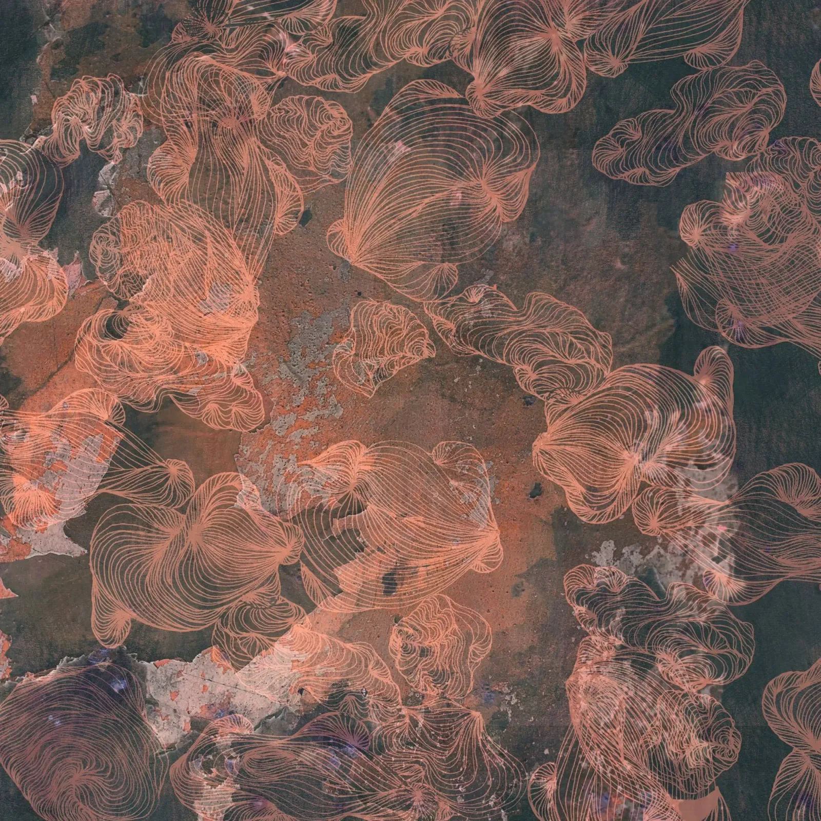 kastanienbraun Acryl-Glas von Giulio Iurissevich