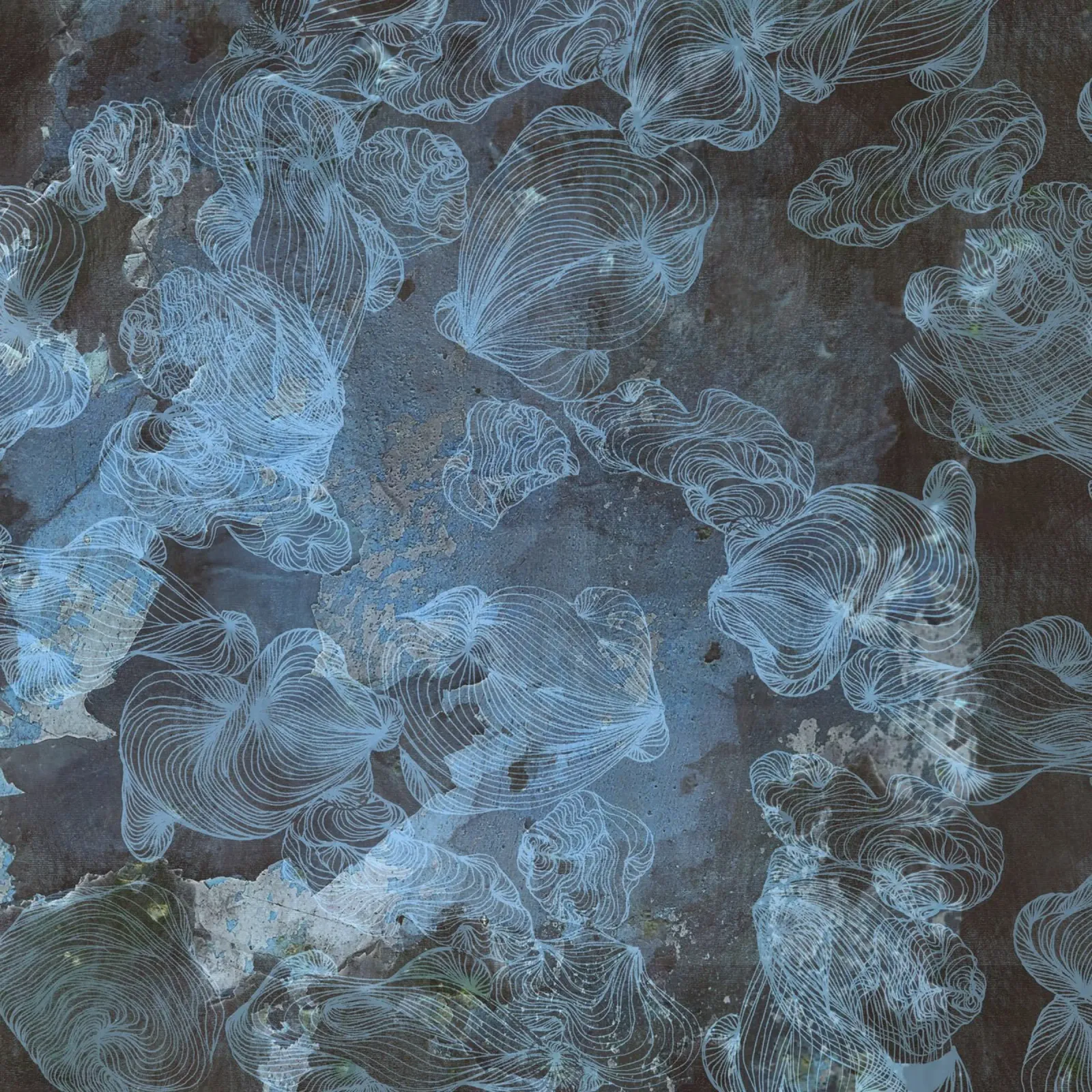 azure hahnemühle by Giulio Iurissevich