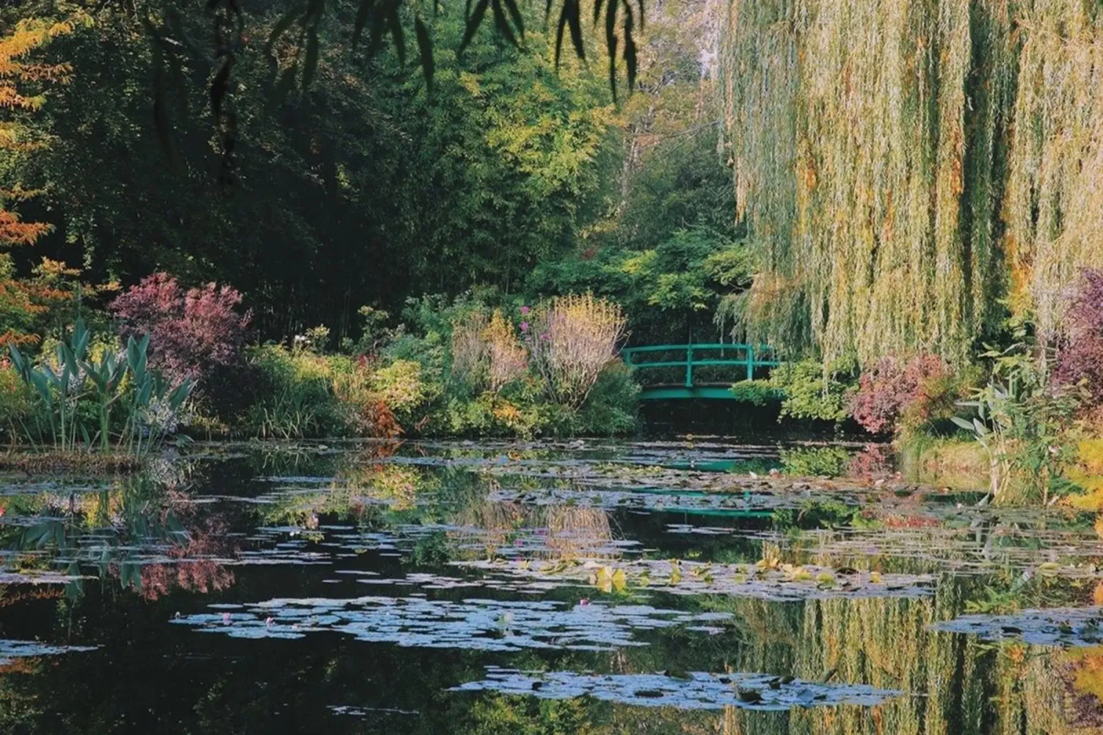 ninfee immagine speculare claude monet pellicola backlit da belong shop