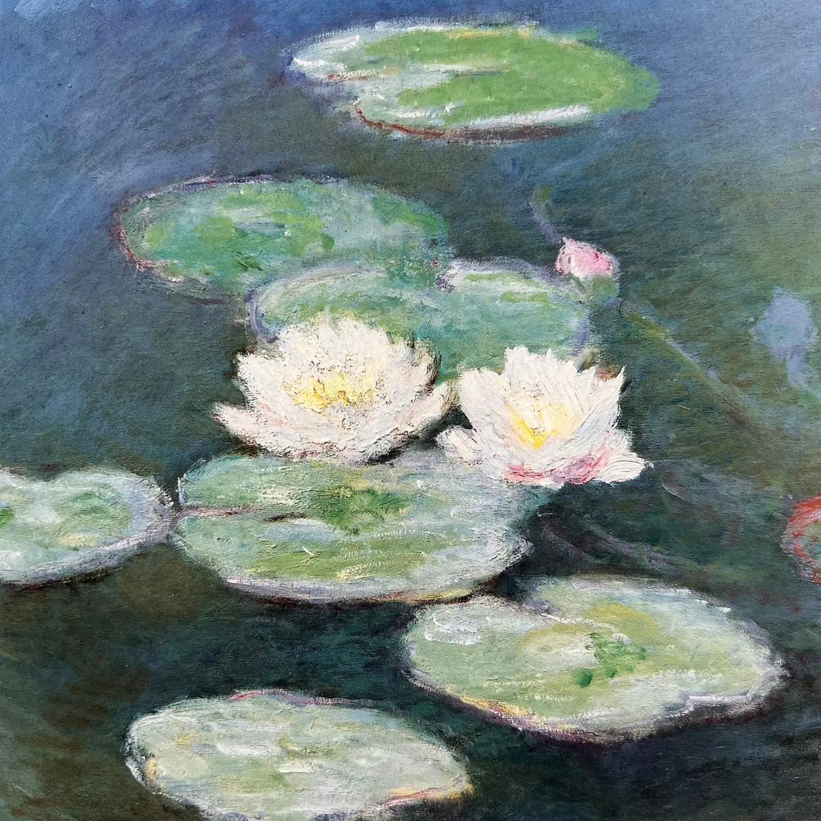 ninfea nella palude claude monet pellicola backlit da belong shop