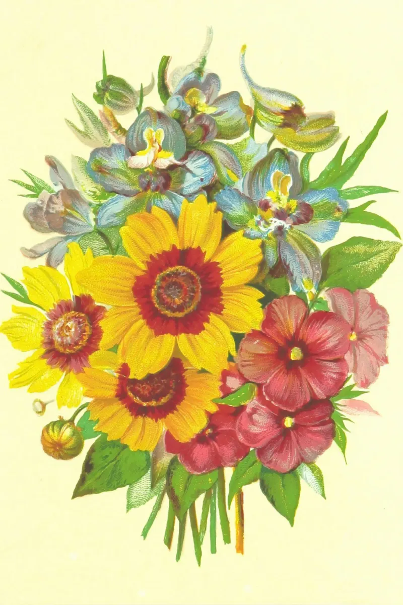 mondo dei fiori carta hahnemühle da NEW LIFE