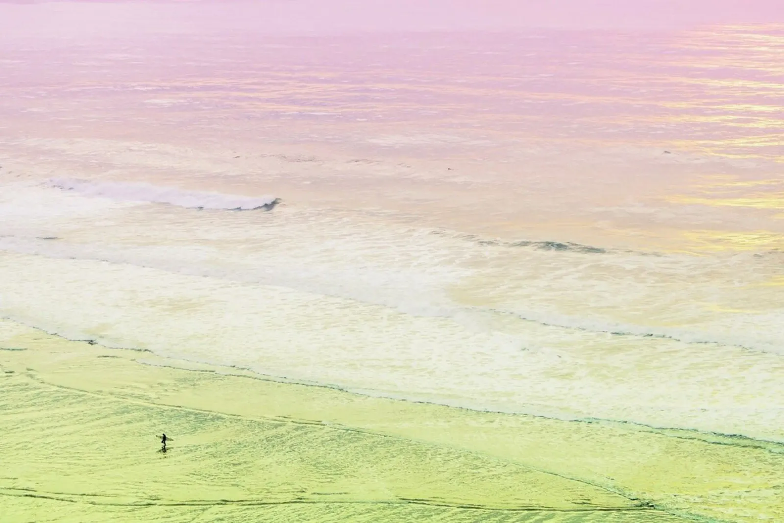 Ocean Beach California Surfer pellicola backlit da Mina Teslaru