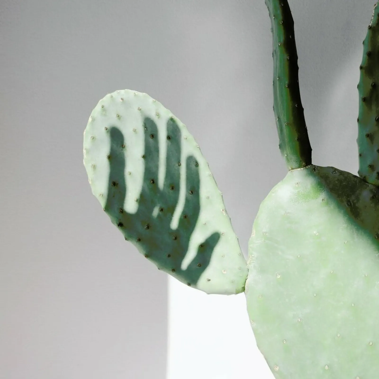 Hello Cactus plexiglass da George Griefy
