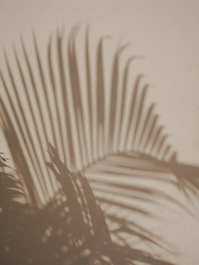 Schatten eines Palmblattes auf einer beigen Wand Hahnemühle von Kimberley Jekel Photography