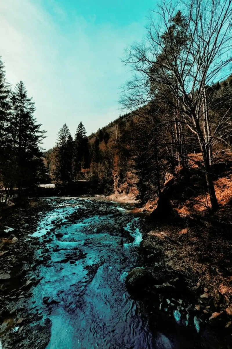 Idyllic River Through The Woods pellicola backlit da Sebastian Hilgetag