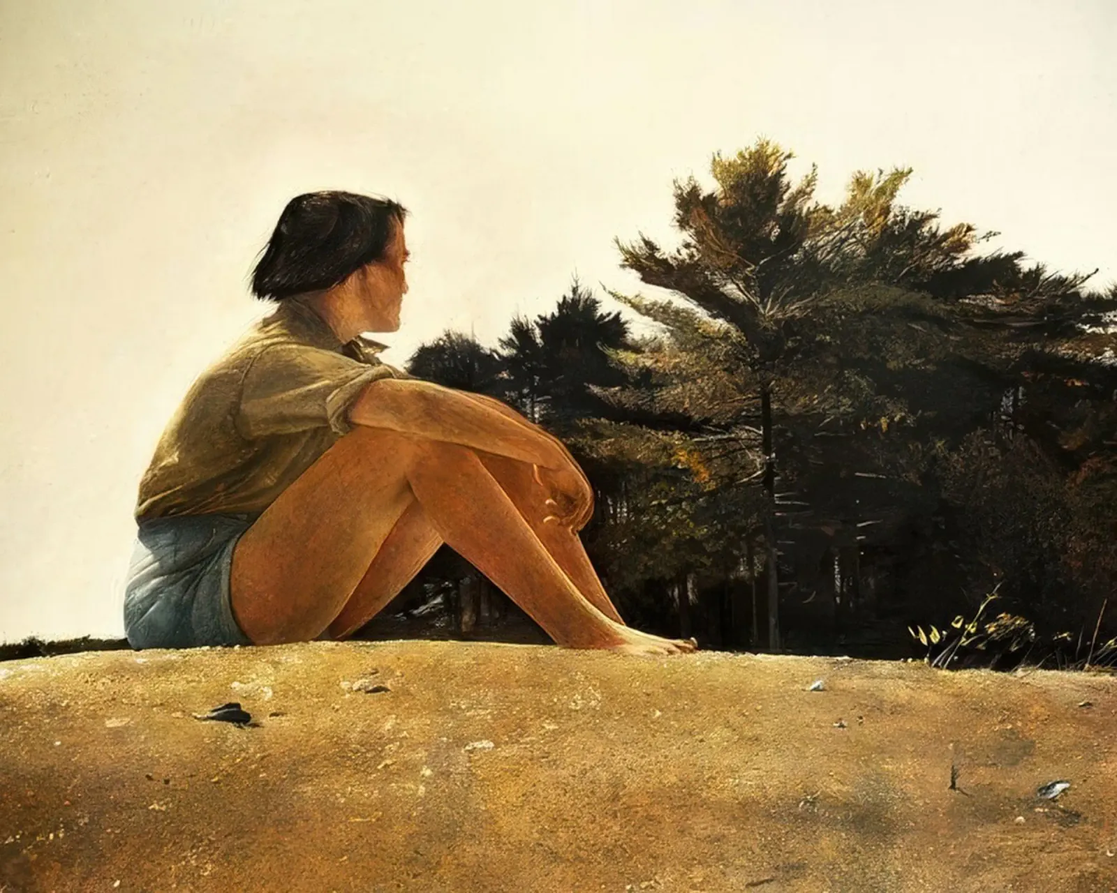 Andrew Wyeth Sandspit pellicola backlit da Classicprint