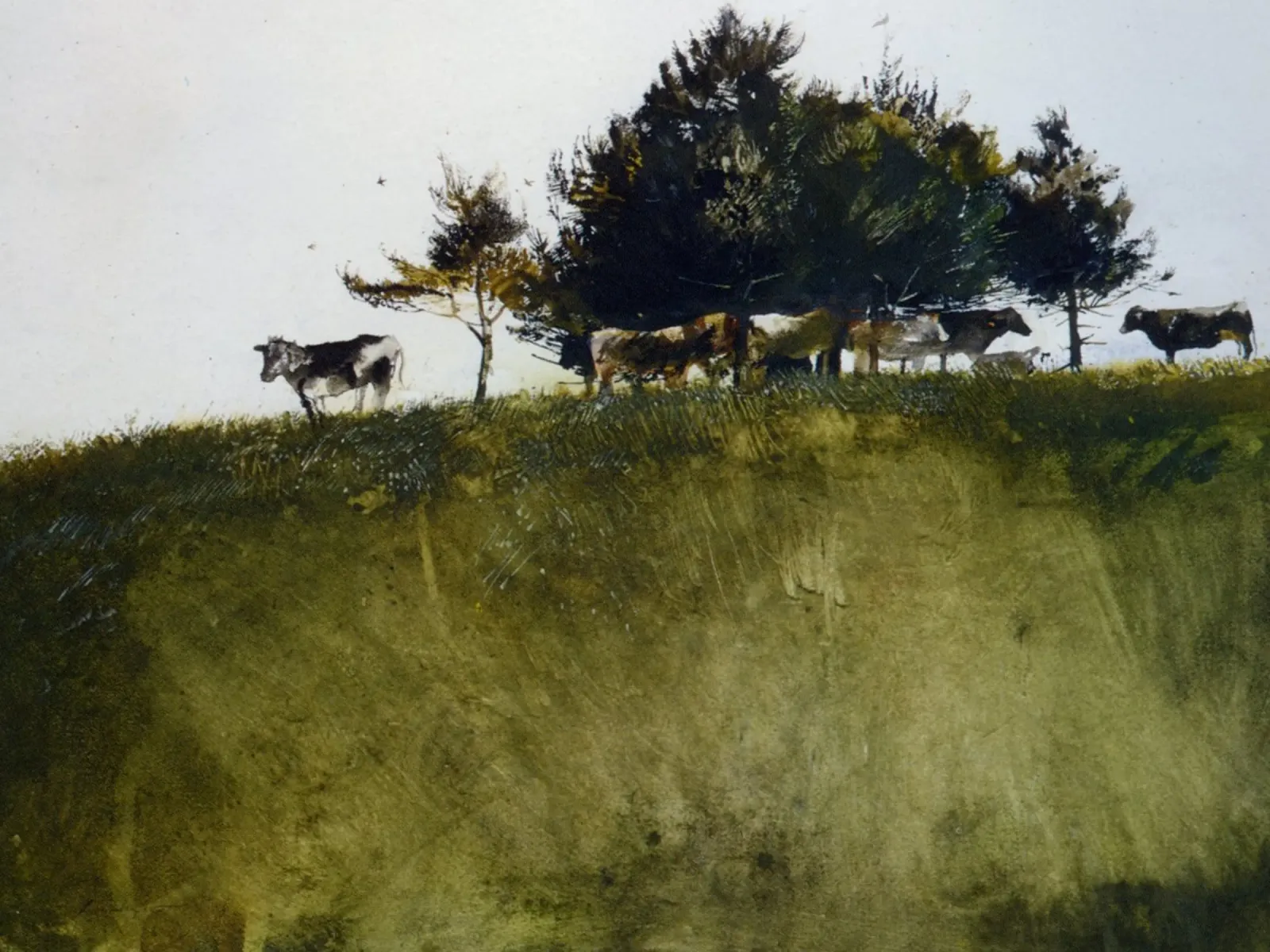 Andrew Wyeth Alberi ombrosi pellicola backlit da Classicprint