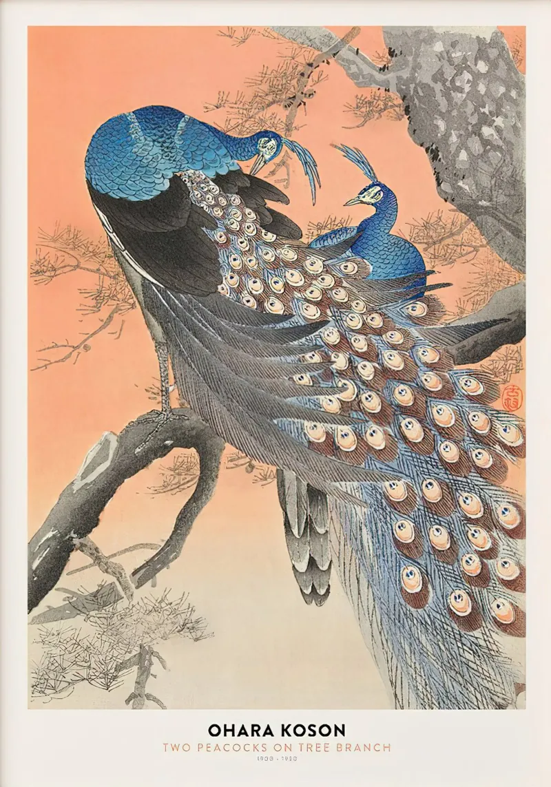 Ohara koson Pfaue auf Baum Poster Poster von Alishasteel