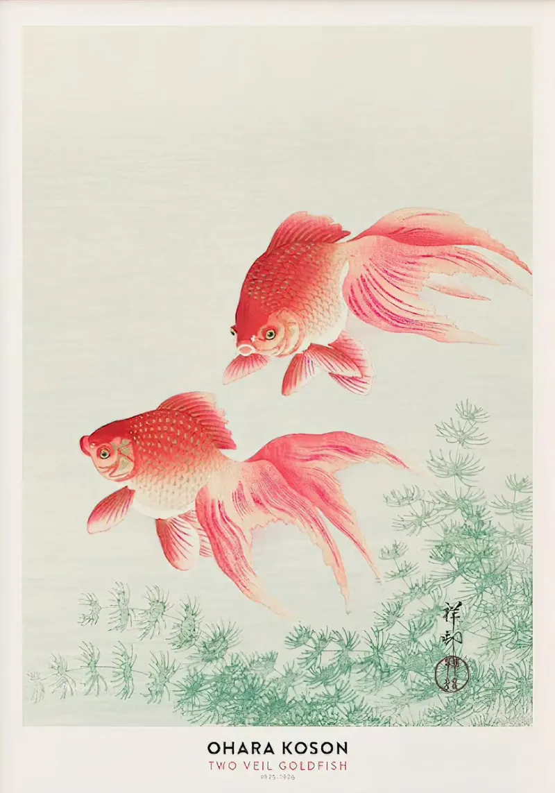 Poster del pesce rosso a due veli Ohara koson poster con telaio in legno da Alishasteel