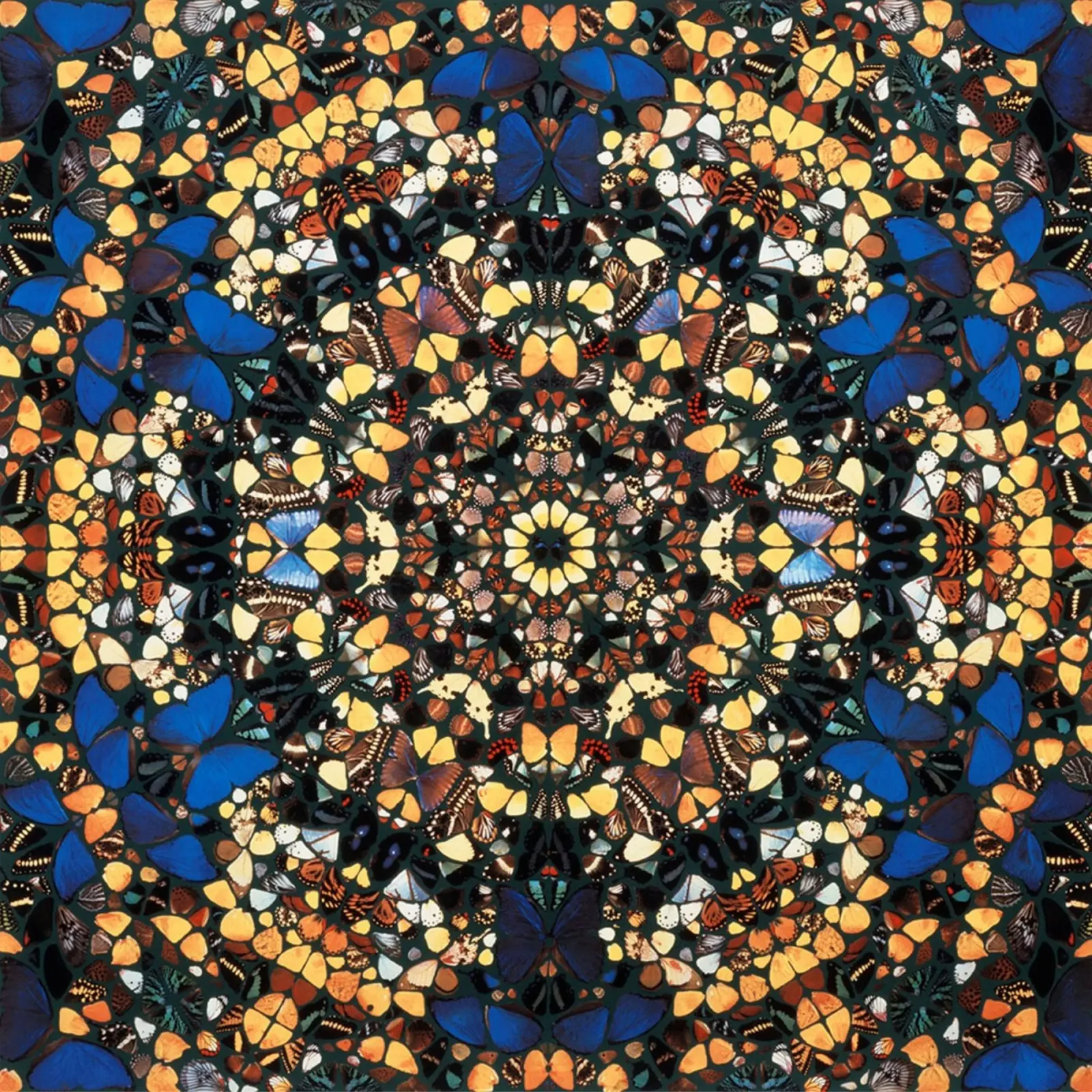 Farfalla di Damien Hirst carta hahnemühle da Romeyoprints