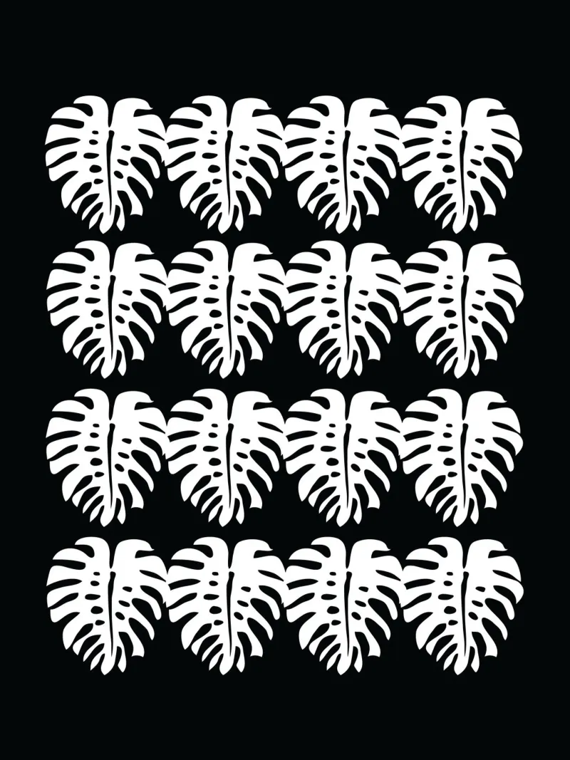 Minimalist Monstera pellicola backlit da Mariery Young