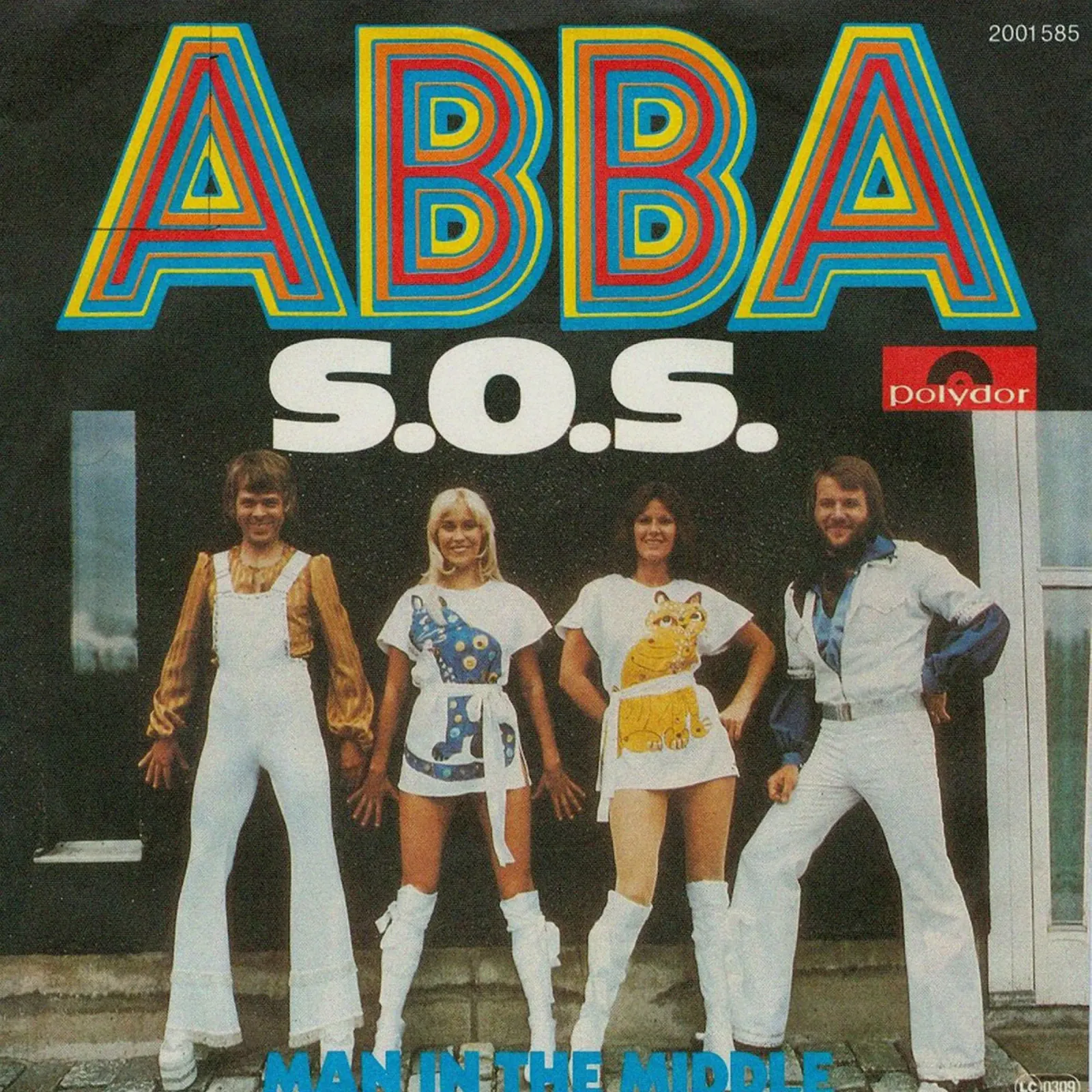 ABBA's tijdloze echo canvas met Baklijst van buky