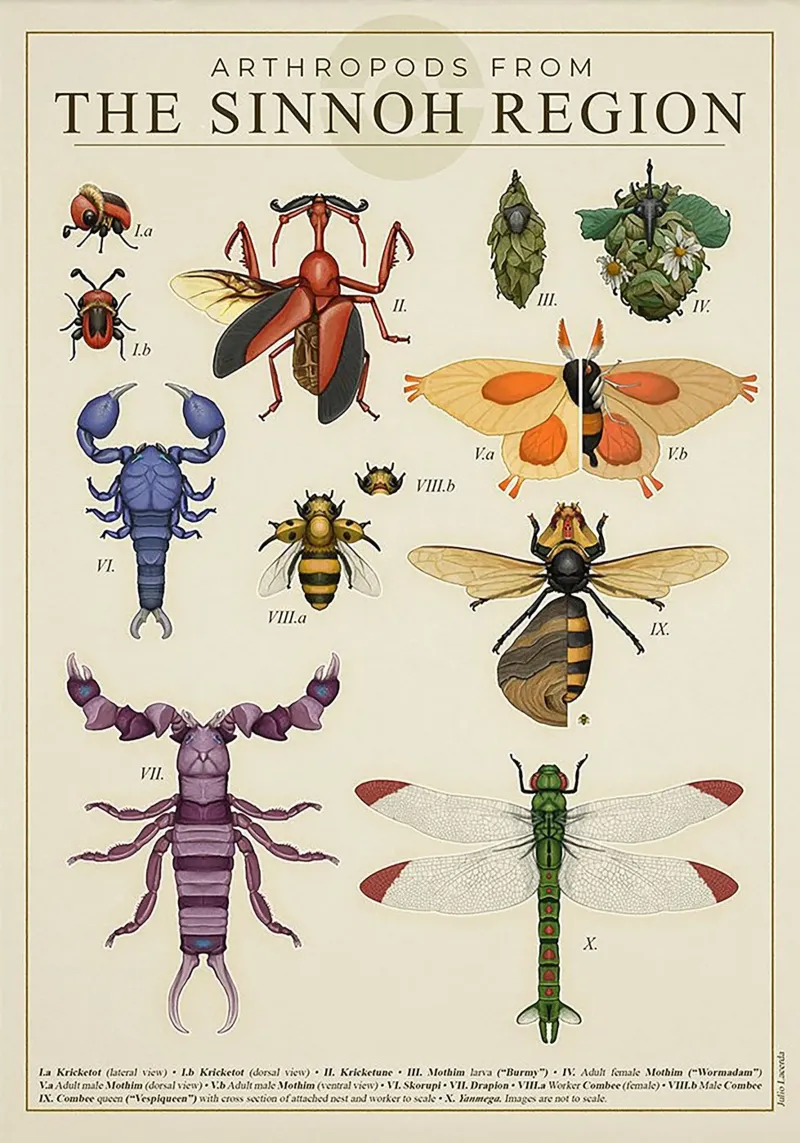 Sinnoh Region Insect Guide tela con Cornice a cassetta da Attaboy Dsgn