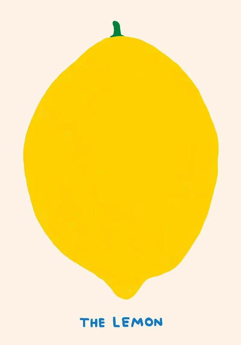 Die Zitrone - Kühnes minimalistisches Obst Hahnemühle von Attaboy Dsgn