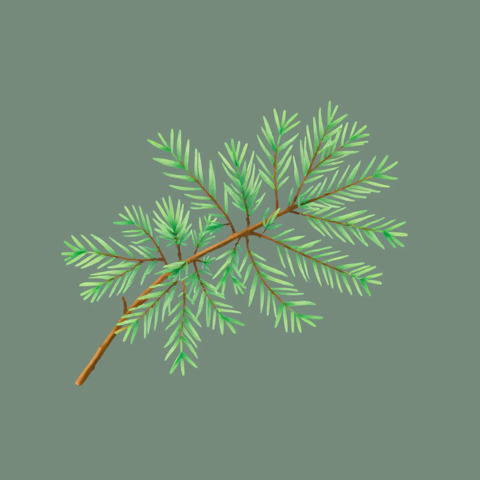 Lampone fresco di bellezza naturale pellicola backlit da DesignDoodle