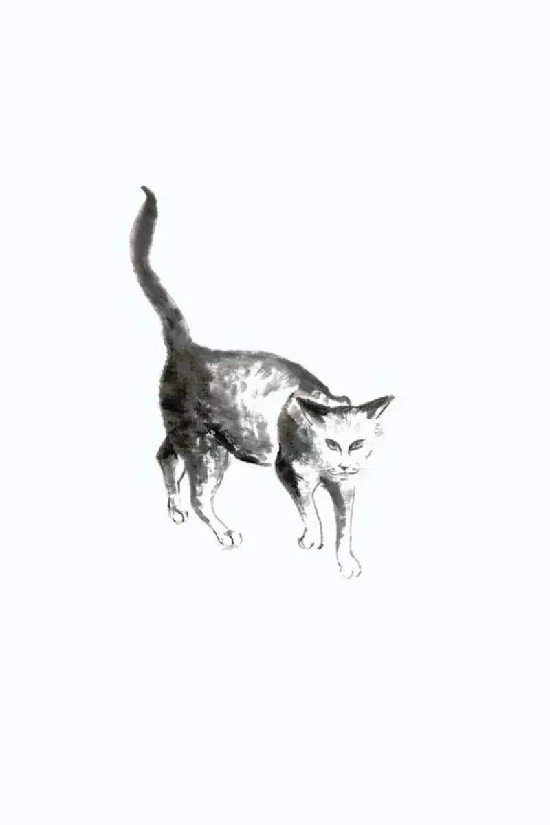Salem II carta hahnemühle da Flora & Fauna