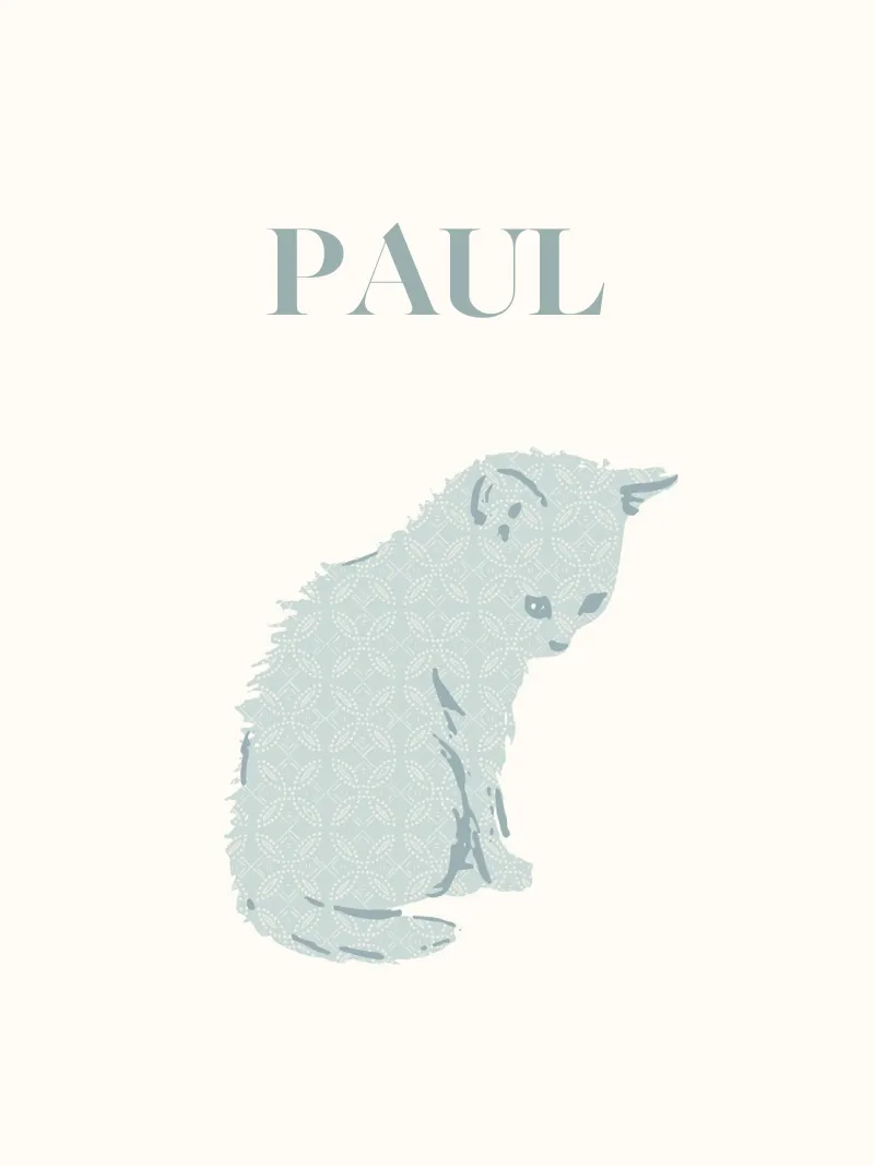 Custom baby name with cue kitten in blue pastel tones poster by Art by Susana Miranda ilustración