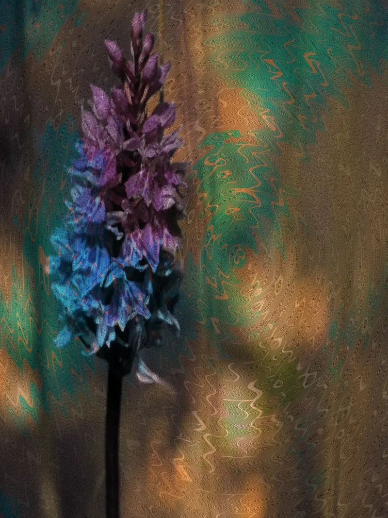 Meadow flower in front of an artistic background canvas with Floater frame by Something for you
