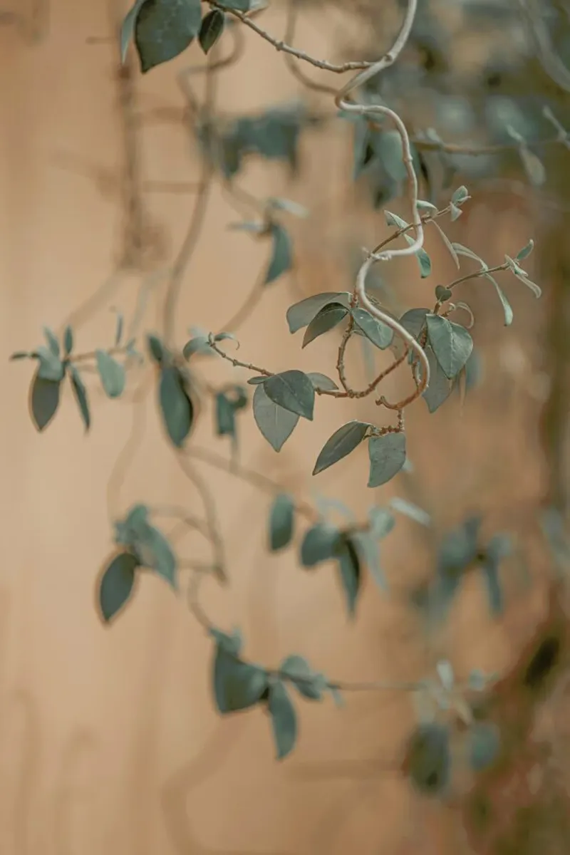 Moody Leaves - Hängende Blätter in Italien poster con telaio in plastica da Monika Strigel