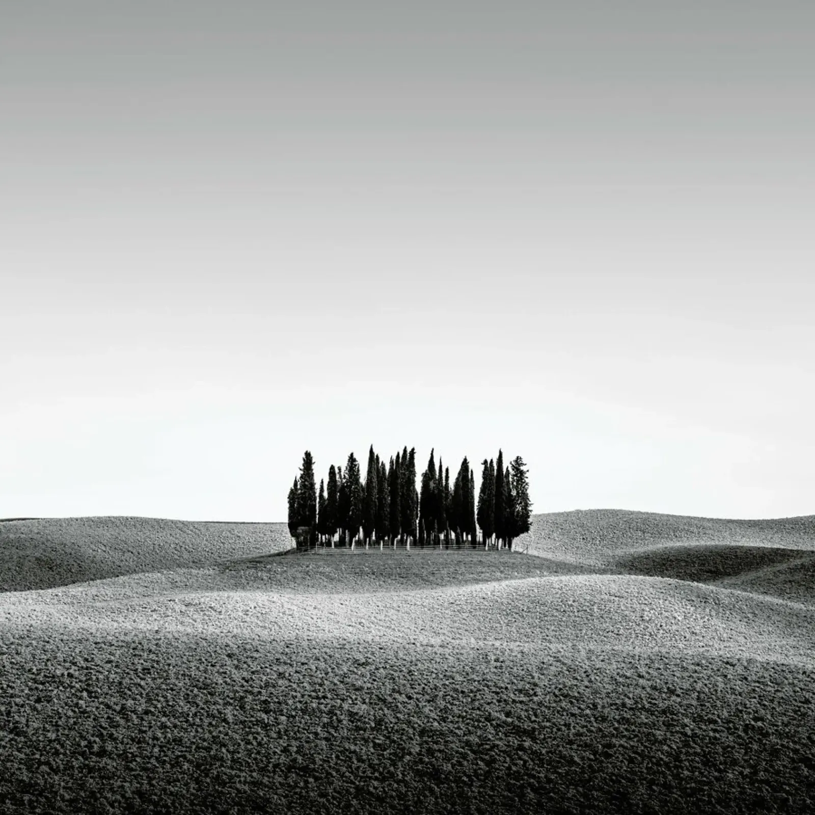Cimitero Dei Cani | Val D`orcia 2015 alluminio dibond da Håggard Photography | Ronny Behnert