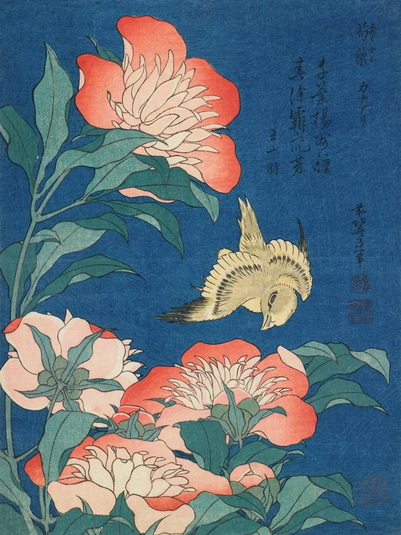 Katsushika Hokusai - Peonie e canarino (1834) poster con telaio in alluminio da Wirla
