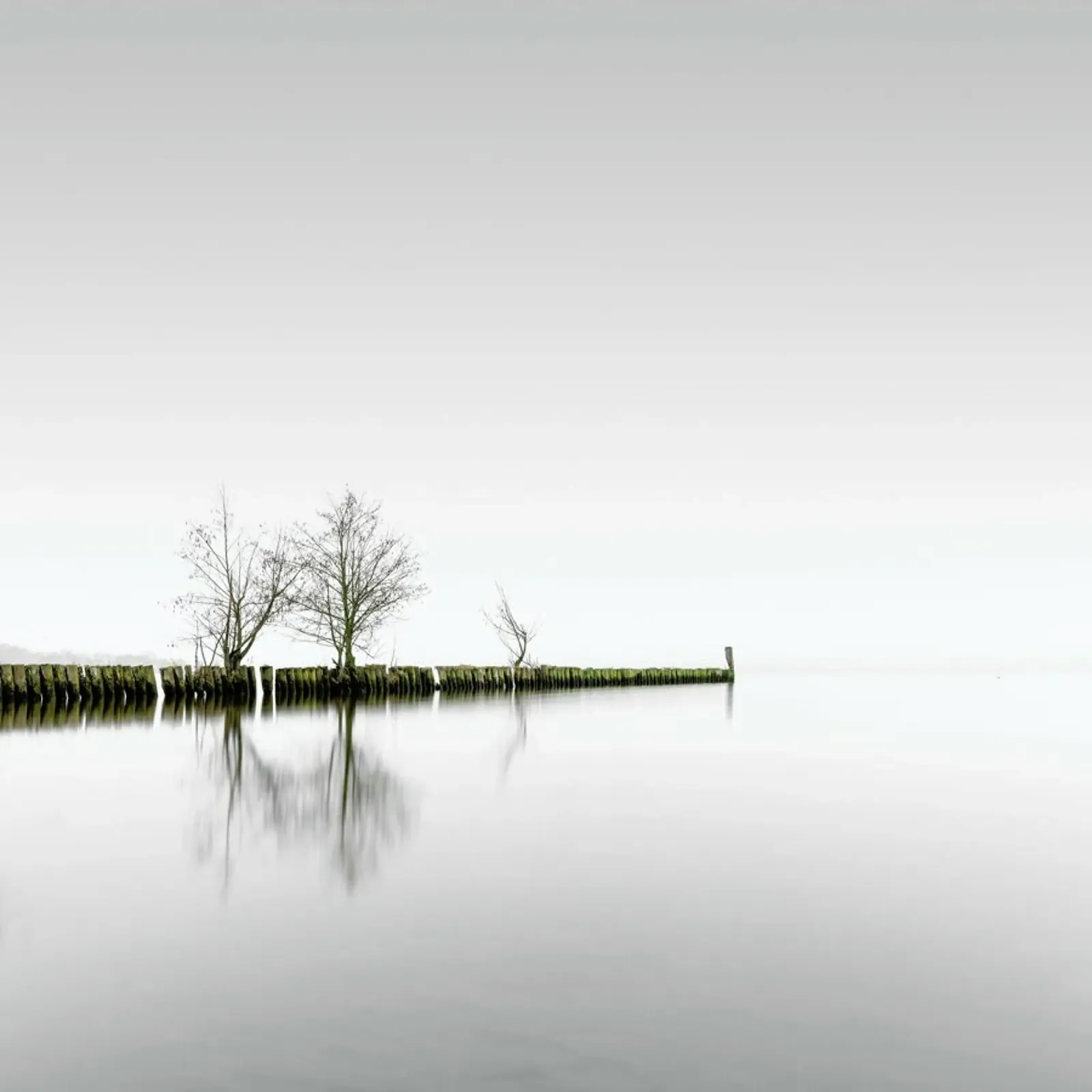 Distant On A Solitary Day | Schwielowsee 2021 pellicola backlit da Håggard Photography | Ronny Behnert