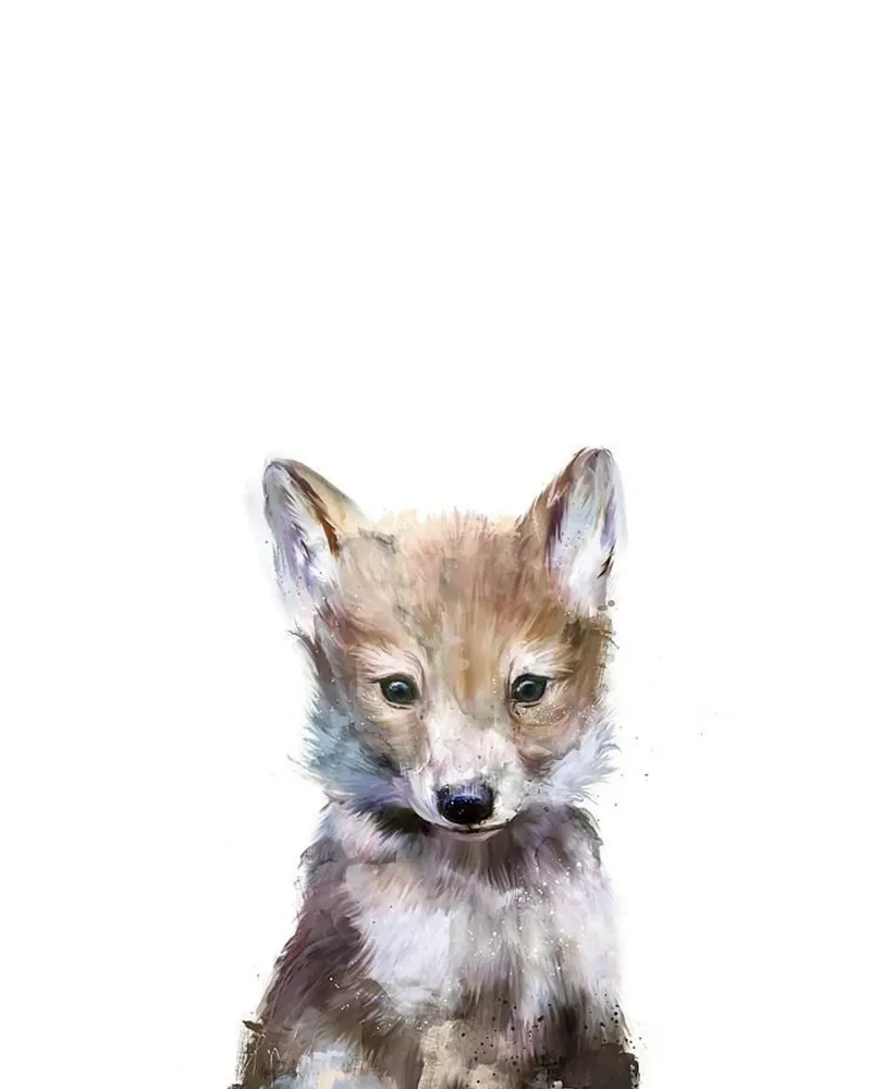 immagine animale volpe fauna selvatica amy hamilton tela da kbm store
