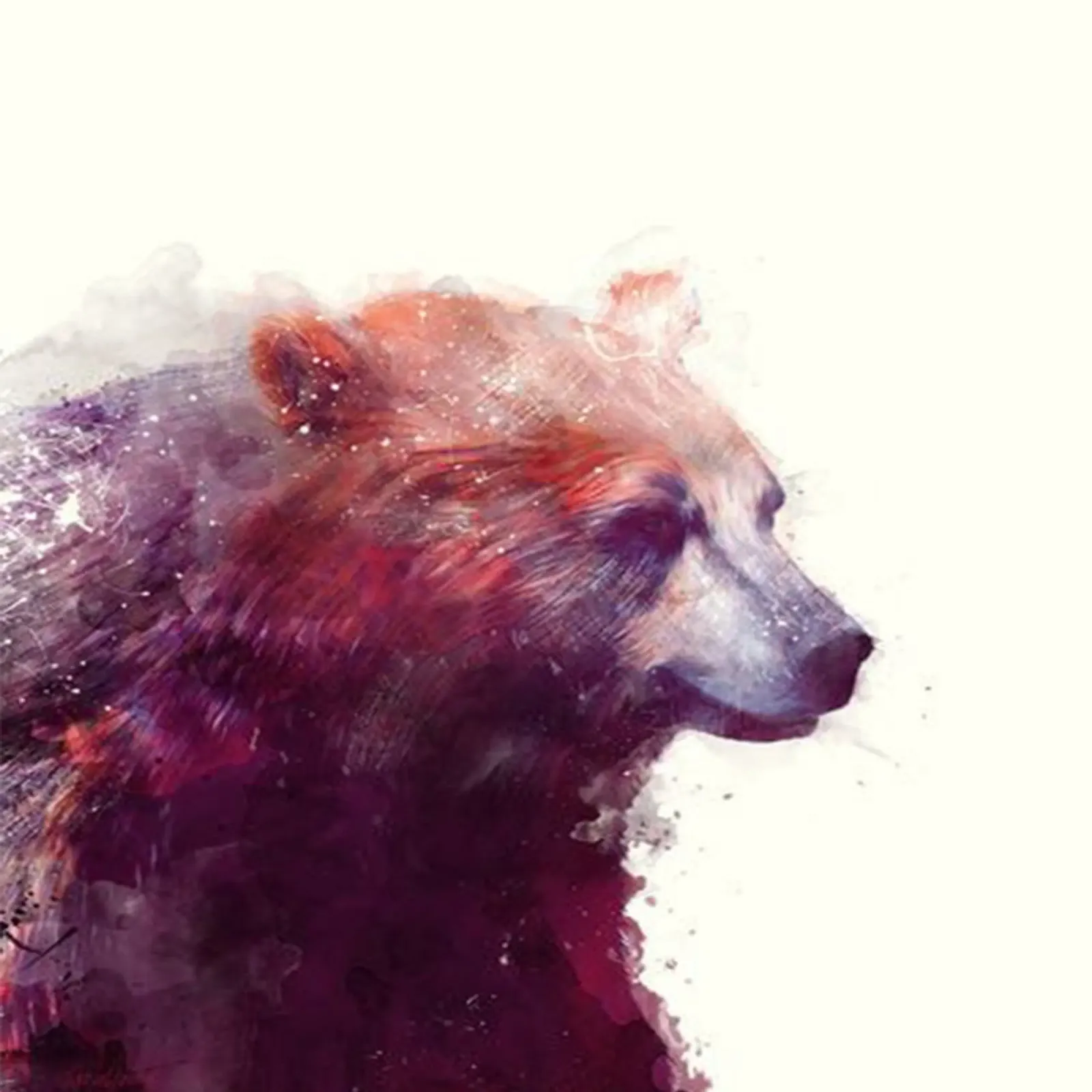 amy hamilton faccia da orso poster con telaio in alluminio da kbm store