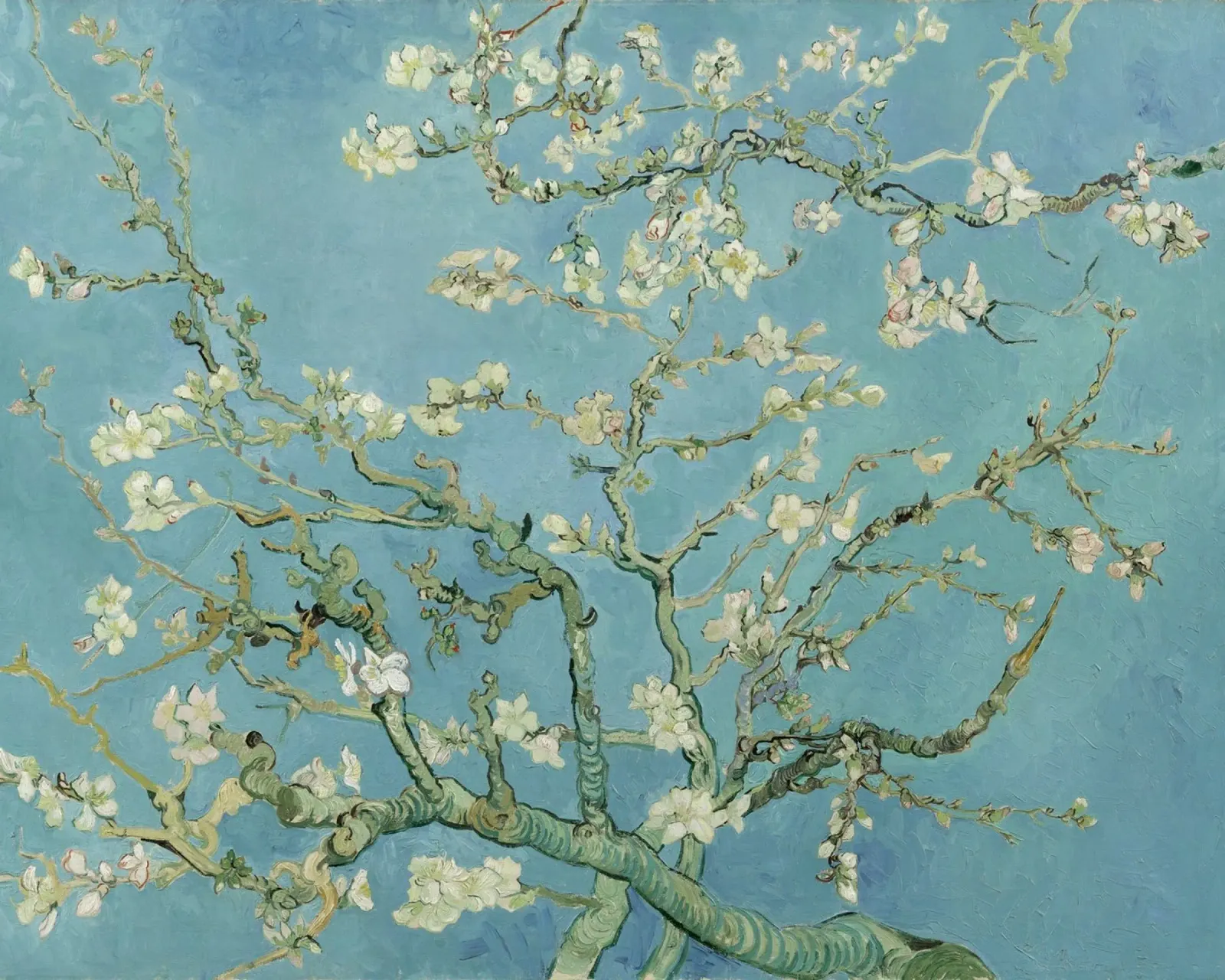 Vincent van Gogh Mandorli in fiore 1890 poster con telaio in alluminio da 50 masterpieces