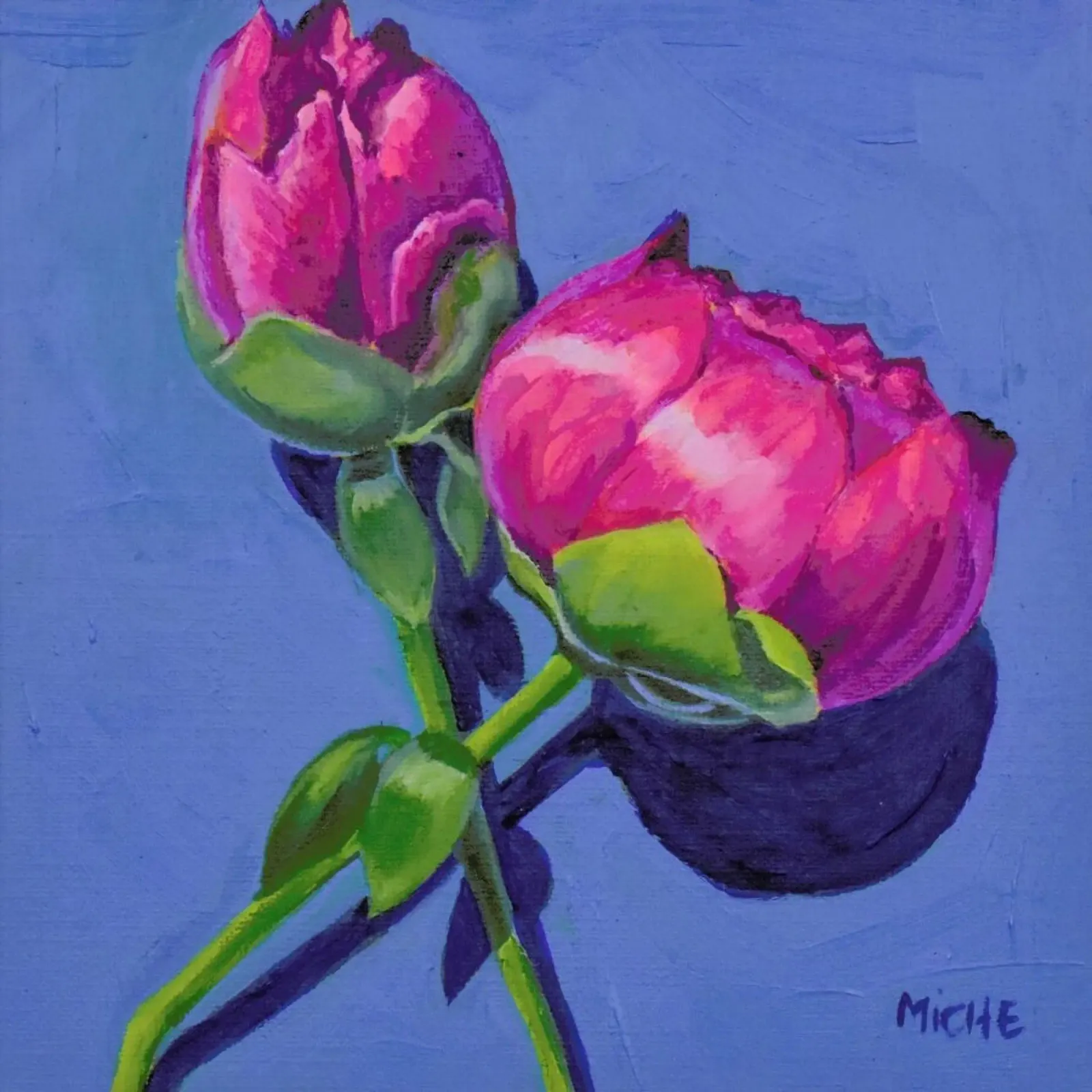 Peonies pellicola backlit da Miche Watkins