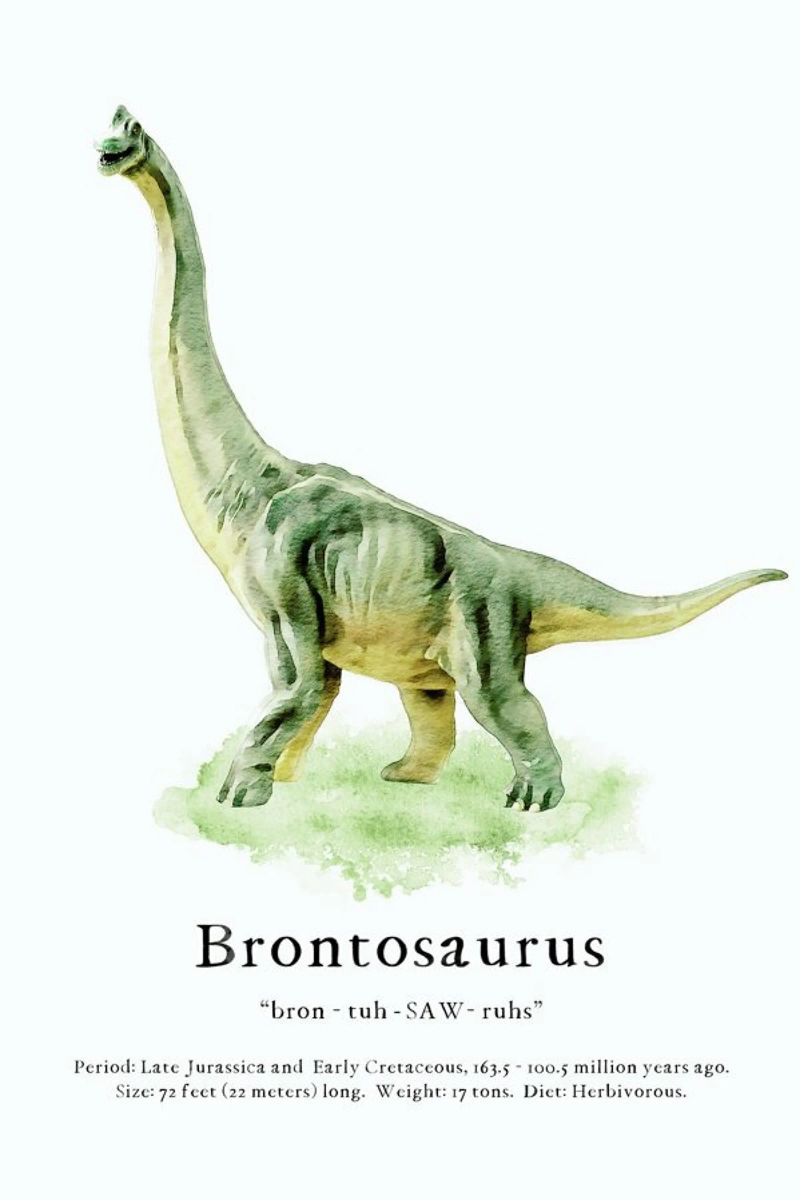 Brontosaurus poster de Lila x Lola