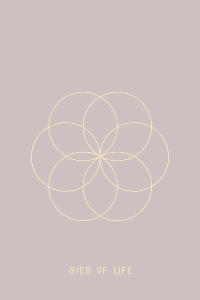 Sied of life pellicola backlit da AESTHETIC VIBES by Isabel