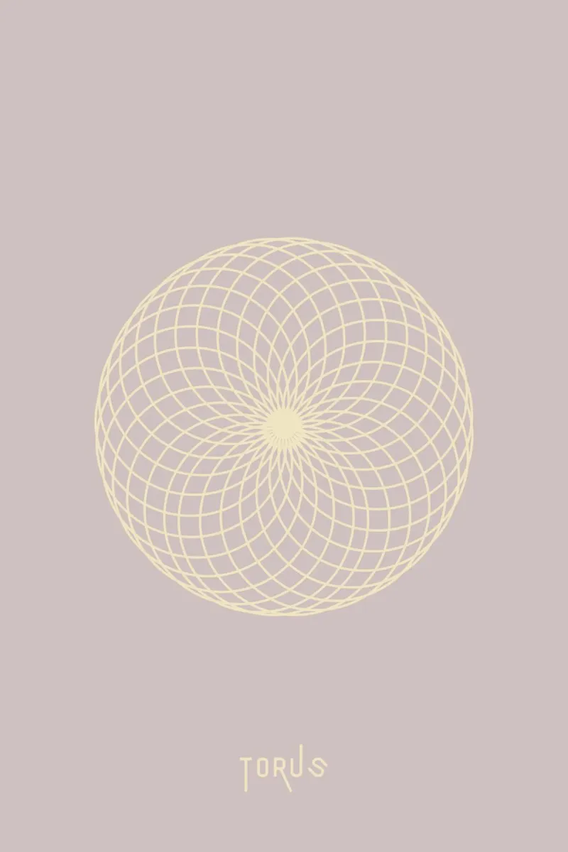 Torus plexiglass da AESTHETIC VIBES by Isabel