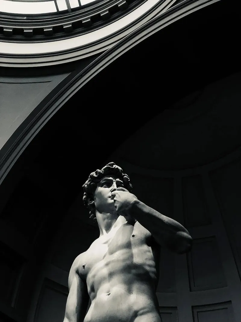 Il David di Michelangelo Arte poster con telaio in alluminio da Brooke