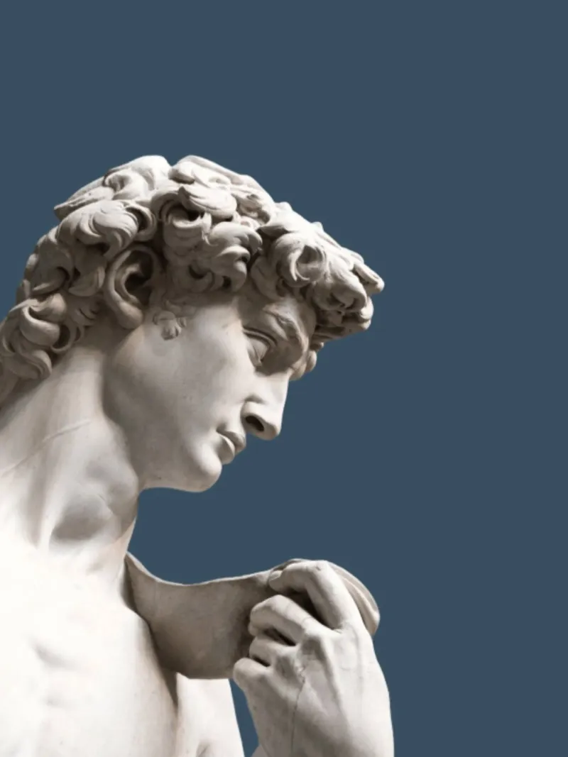 Il David di Michelangelo Arte pellicola backlit da Brooke