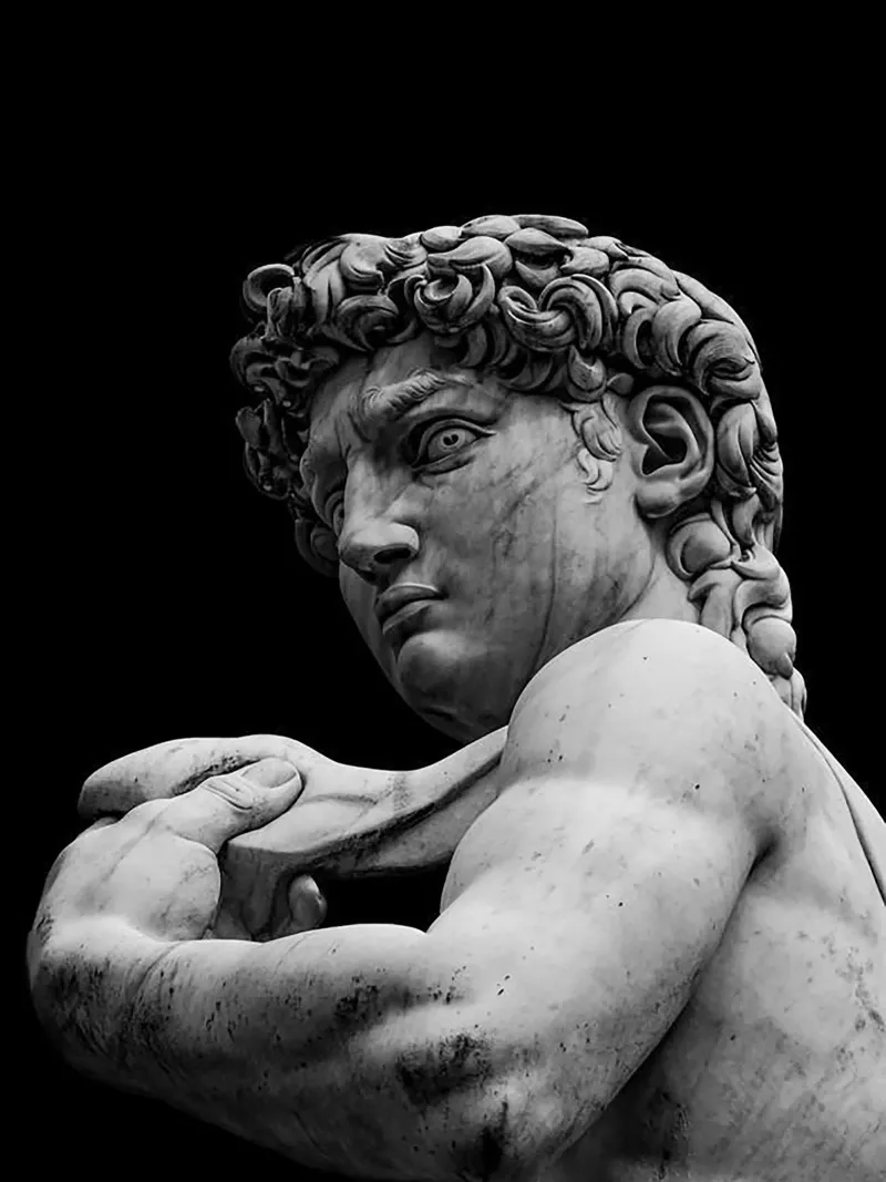 Il David di Michelangelo Arte pellicola backlit da Brooke