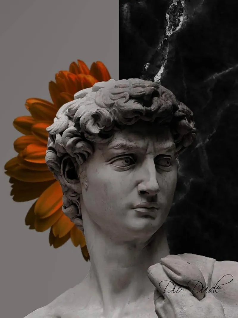Il David di Michelangelo Arte poster con telaio in plastica da Brooke