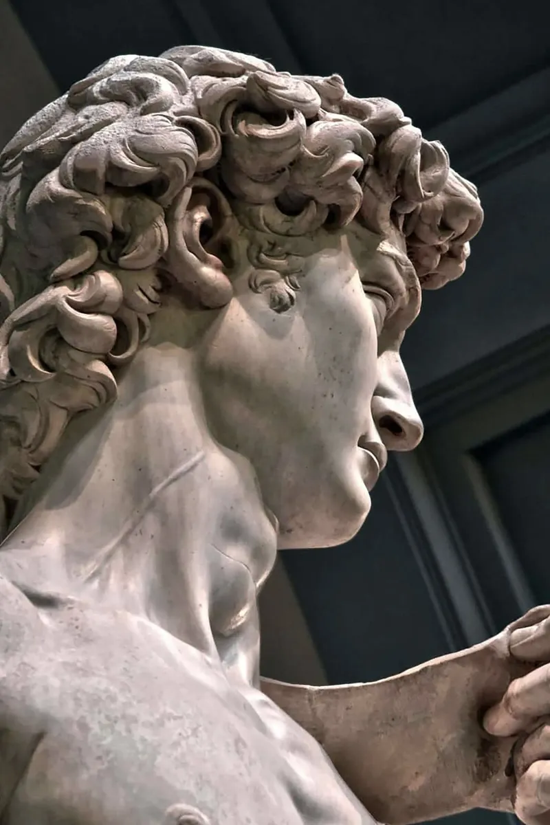 Il David di Michelangelo Arte pellicola backlit da Brooke