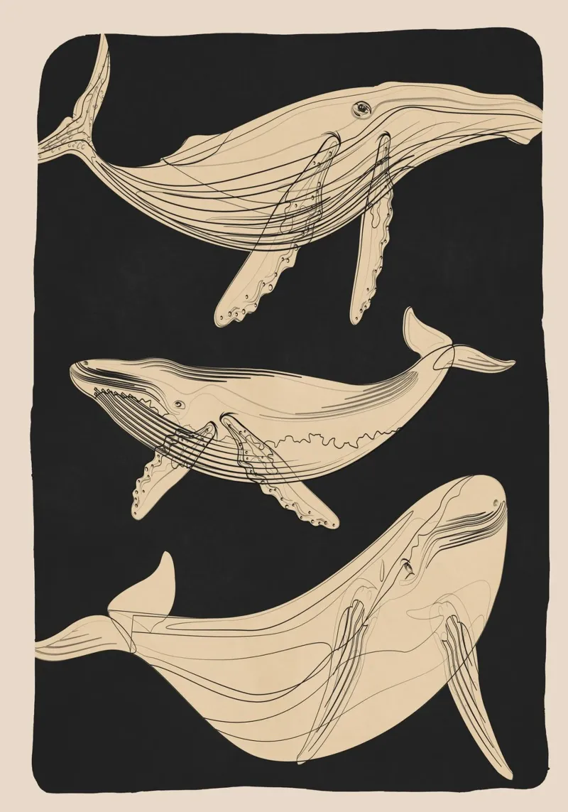 Modern Minimalist Abstract Whales pellicola backlit da Nadjaa