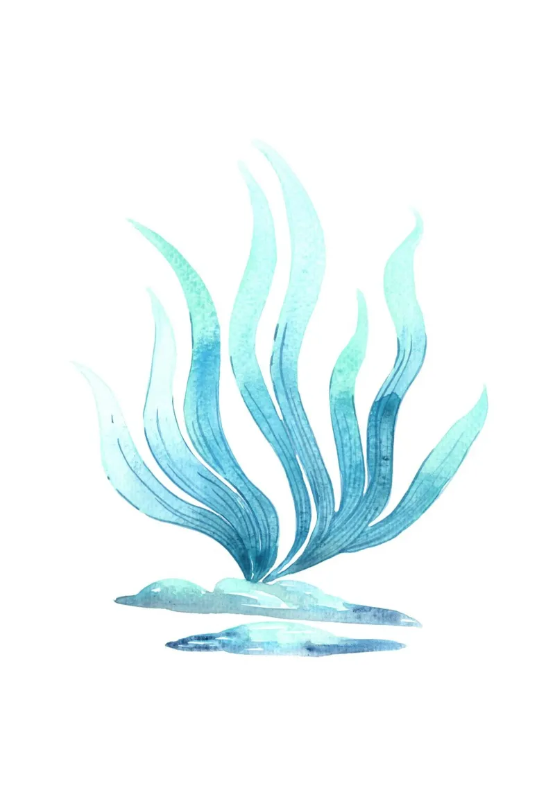 Sierlijk blauw zeewier - Kustwaterverf zeeflora canvas met Baklijst van NorwesClub