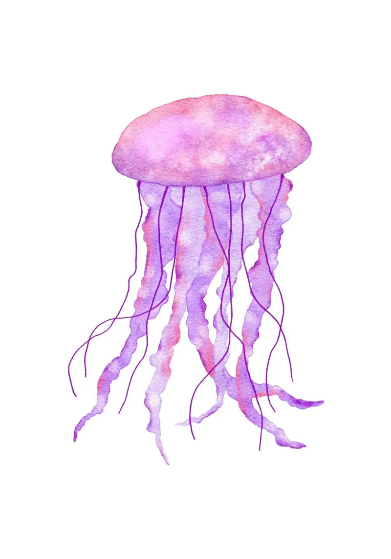 Fioritura di meduse alla lavanda - Acquerello sulla vita marina poster con telaio in plastica da NorwesClub