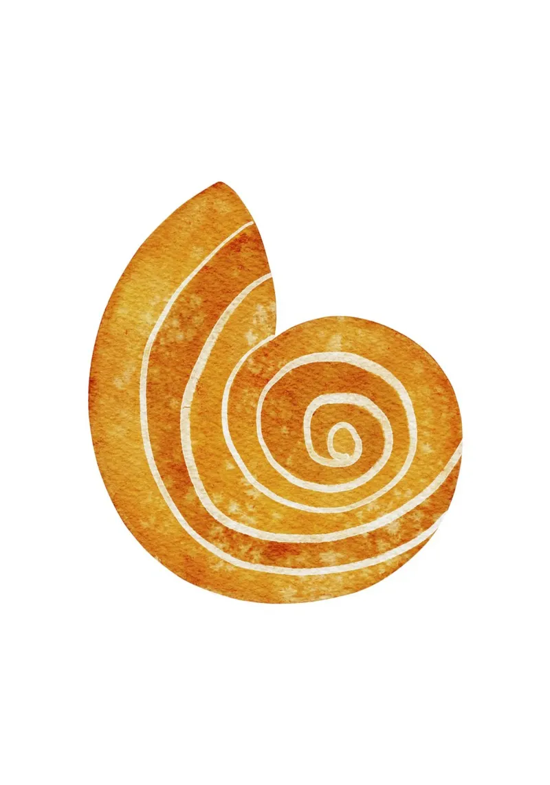 Golden Spiral Shell - Watercolor Coastal Abstract Art canvas with Floater frame by NorwesClub