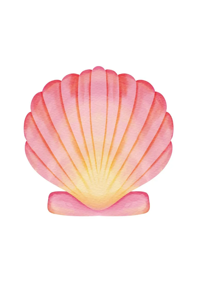 Pastel Scallop Shell - Watercolor Coastal Pink & Gold Art canvas by NorwesClub