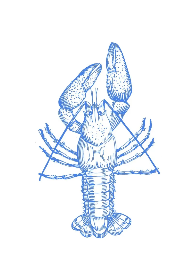 Vintage Blue Lobster - Nautical Etching Marine Art hahnemühle by NorwesClub